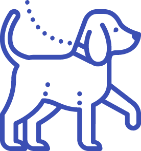 Entrenamiento Profesional: La clave para un perro equilibrado
