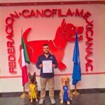 entrenador canino certificado y avalado por federacion canofila mexicana en mexico
