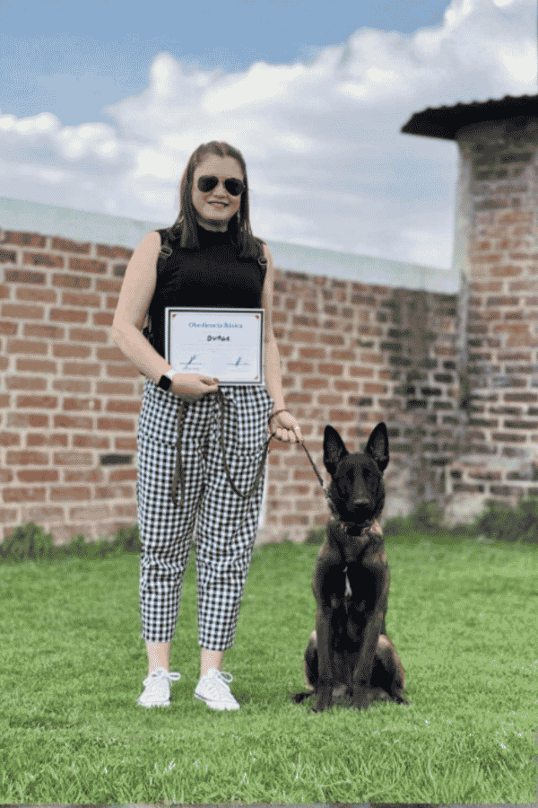 entrenador-de-perros-certificado