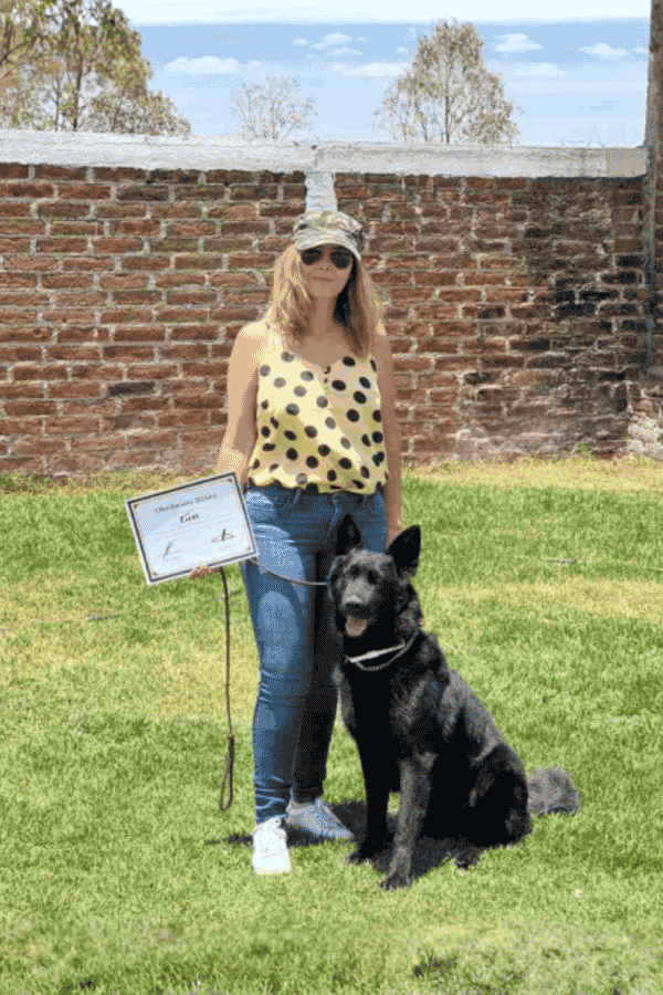 escuela-de-entrenamiento-canino-león